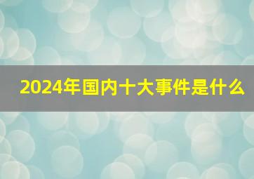 2024年国内十大事件是什么