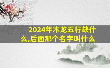 2024年木龙五行缺什么,后面那个名字叫什么