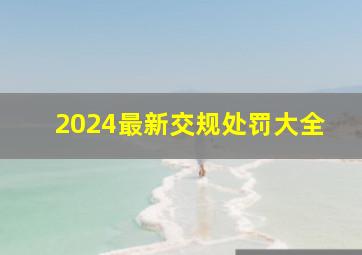 2024最新交规处罚大全