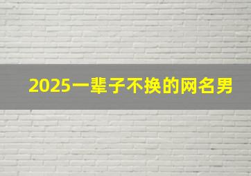 2025一辈子不换的网名男