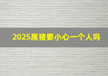 2025属猪要小心一个人吗