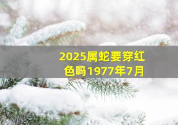 2025属蛇要穿红色吗1977年7月