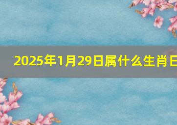 2025年1月29日属什么生肖日