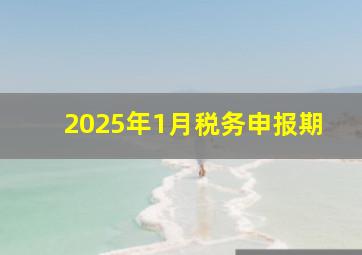 2025年1月税务申报期