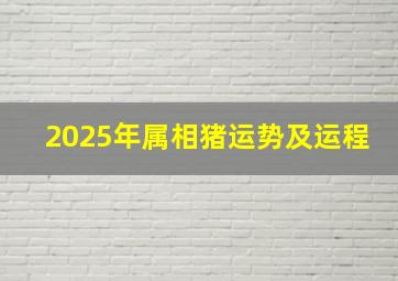 2025年属相猪运势及运程