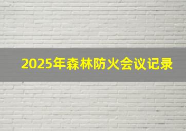 2025年森林防火会议记录