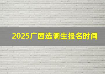 2025广西选调生报名时间