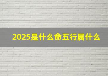 2025是什么命五行属什么