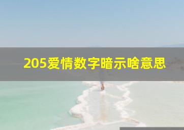 205爱情数字暗示啥意思