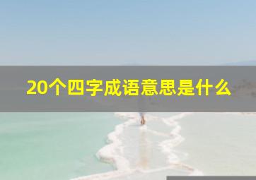 20个四字成语意思是什么