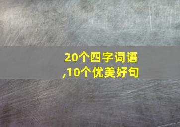 20个四字词语,10个优美好句