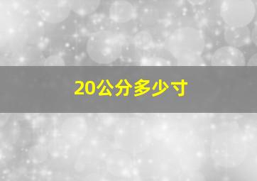 20公分多少寸