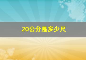 20公分是多少尺