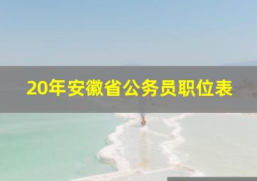 20年安徽省公务员职位表