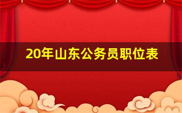 20年山东公务员职位表