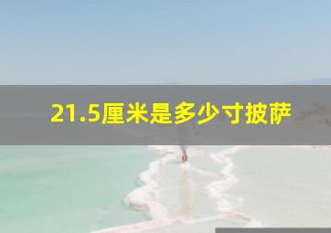 21.5厘米是多少寸披萨