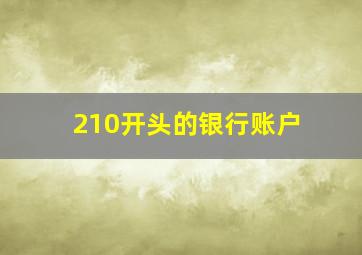 210开头的银行账户