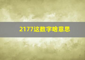 2177这数字啥意思