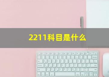 2211科目是什么