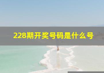 228期开奖号码是什么号