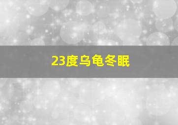 23度乌龟冬眠