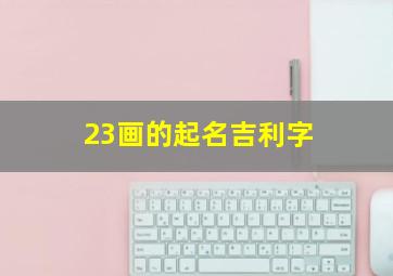 23画的起名吉利字