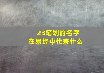 23笔划的名字在易经中代表什么