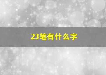 23笔有什么字