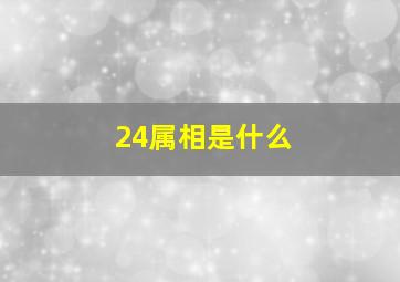 24属相是什么