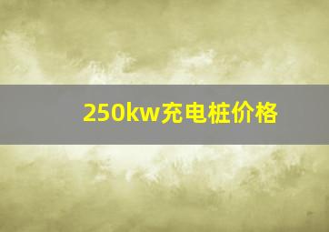 250kw充电桩价格