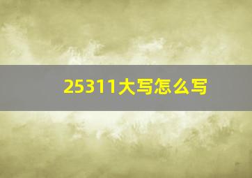 25311大写怎么写