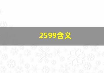 2599含义