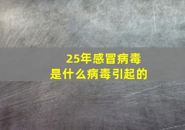 25年感冒病毒是什么病毒引起的