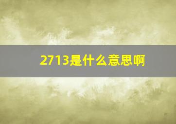 2713是什么意思啊