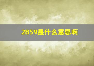 2859是什么意思啊