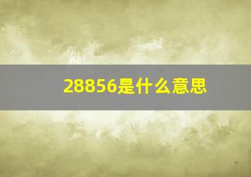 28856是什么意思