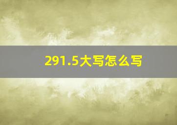 291.5大写怎么写