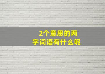 2个意思的两字词语有什么呢