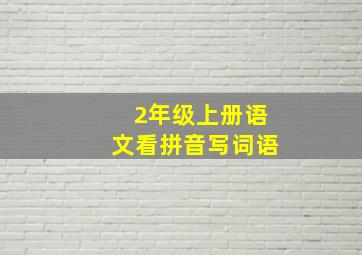 2年级上册语文看拼音写词语