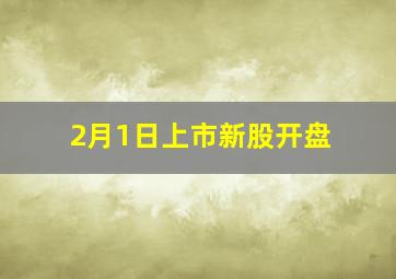 2月1日上市新股开盘