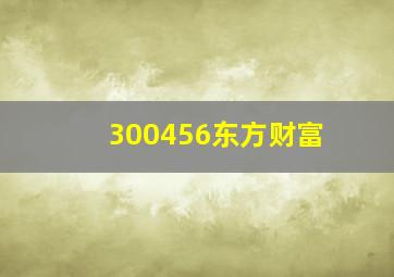 300456东方财富