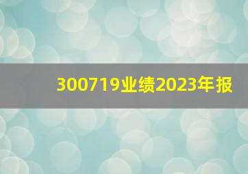 300719业绩2023年报