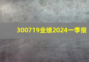 300719业绩2024一季报