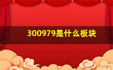 300979是什么板块