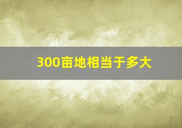 300亩地相当于多大