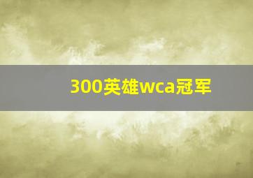 300英雄wca冠军