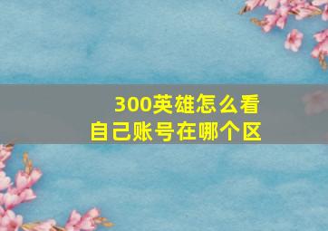 300英雄怎么看自己账号在哪个区