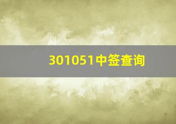 301051中签查询