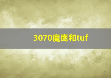 3070魔鹰和tuf