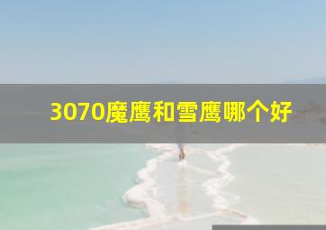 3070魔鹰和雪鹰哪个好